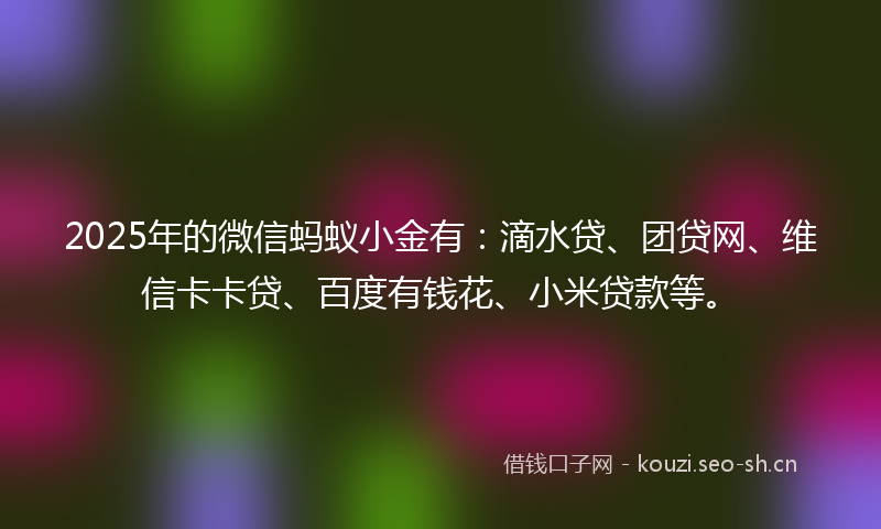 2025年的微信蚂蚁小金有：滴水贷、团贷网、维信卡卡贷、百度有钱花、小米贷款等。