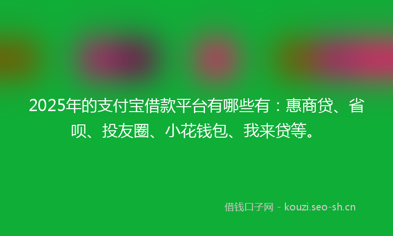 2025年的支付宝借款平台有哪些有：惠商贷、省呗、投友圈、小花钱包、我来贷等。