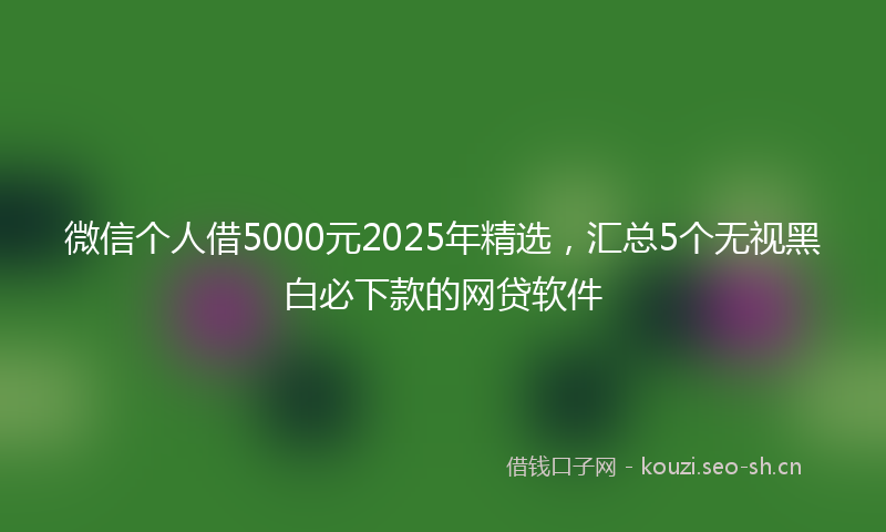 微信个人借5000元2025年精选，汇总5个无视黑白必下款的网贷软件