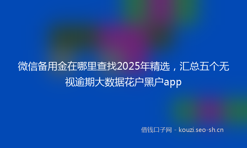 微信备用金在哪里查找2025年精选，汇总五个无视逾期大数据花户黑户app