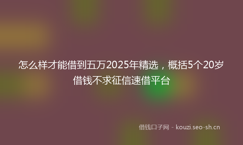 怎么样才能借到五万2025年精选，概括5个20岁借钱不求征信速借平台