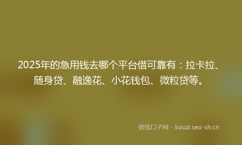 2025年的急用钱去哪个平台借可靠有：拉卡拉、随身贷、融逸花、小花钱包、微粒贷等。
