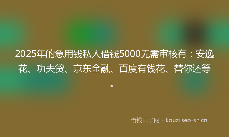 2025年的急用钱私人借钱5000无需审核有:安逸花、功夫贷、京东金融、百度有钱花、替你还等。