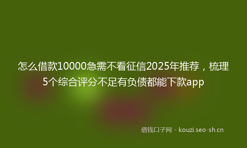 怎么借款10000急需不看征信2025年推荐，梳理5个综合评分不足有负债都能下款app