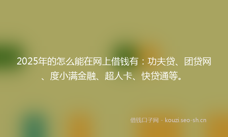 2025年的怎么能在网上借钱有：功夫贷、团贷网、度小满金融、超人卡、快贷通等。