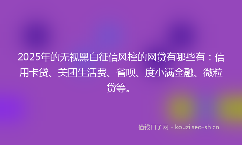 2025年的无视黑白征信风控的网贷有哪些有：信用卡贷、美团生活费、省呗、度小满金融、微粒贷等。