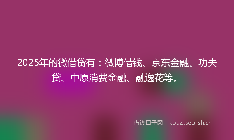 2025年的微借贷有：微博借钱、京东金融、功夫贷、中原消费金融、融逸花等。