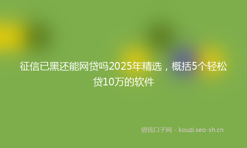 征信已黑还能网贷吗2025年精选，概括5个轻松贷10万的软件