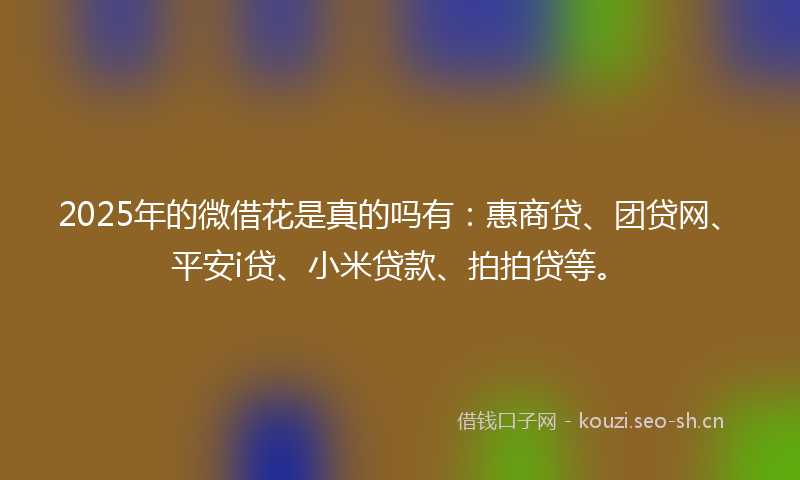 2025年的微借花是真的吗有:惠商贷、团贷网、平安i贷、小米贷款、拍拍贷等。