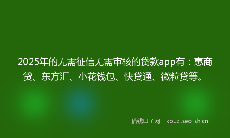 2025年的无需征信无需审核的贷款app有：惠商贷、东方汇、小花钱包、快贷通、微粒贷等。
