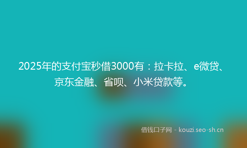 2025年的支付宝秒借3000有：拉卡拉、e微贷、京东金融、省呗、小米贷款等。