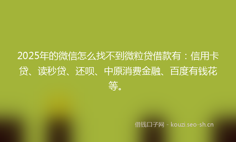 2025年的微信怎么找不到微粒贷借款有:信用卡贷、读秒贷、还呗、中原消费金融、百度有钱花等。