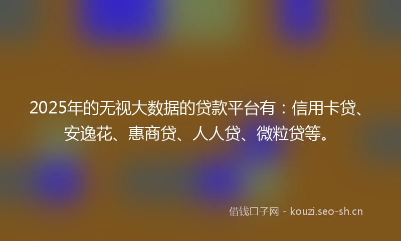 2025年的无视大数据的贷款平台有：信用卡贷、安逸花、惠商贷、人人贷、微粒贷等。