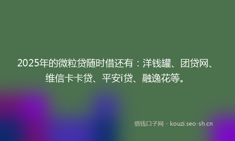 2025年的微粒贷随时借还有:洋钱罐、团贷网、维信卡卡贷、平安i贷、融逸花等。