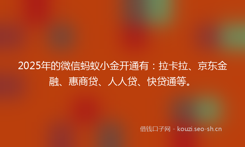 2025年的微信蚂蚁小金开通有：拉卡拉、京东金融、惠商贷、人人贷、快贷通等。