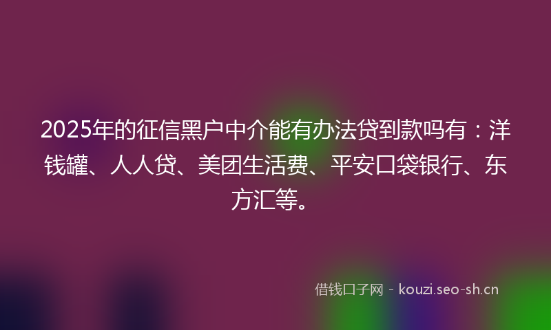 2025年的征信黑户中介能有办法贷到款吗有：洋钱罐、人人贷、美团生活费、平安口袋银行、东方汇等。