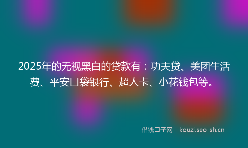 2025年的无视黑白的贷款有：功夫贷、美团生活费、平安口袋银行、超人卡、小花钱包等。