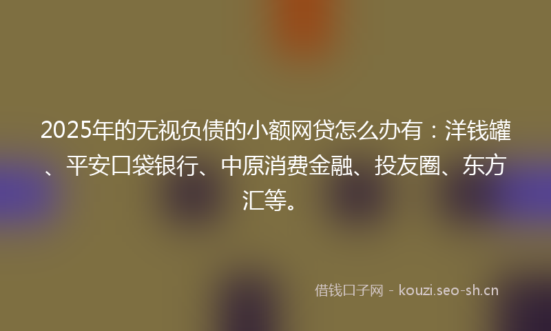 2025年的无视负债的小额网贷怎么办有：洋钱罐、平安口袋银行、中原消费金融、投友圈、东方汇等。