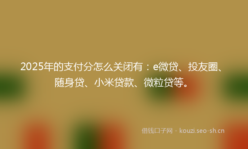 2025年的支付分怎么关闭有:e微贷、投友圈、随身贷、小米贷款、微粒贷等。