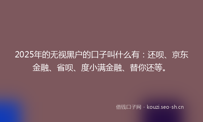 2025年的无视黑户的口子叫什么有：还呗、京东金融、省呗、度小满金融、替你还等。