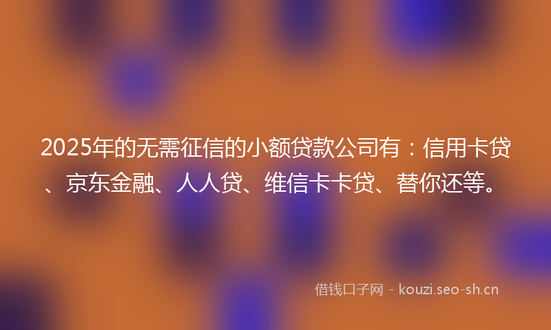 2025年的无需征信的小额贷款公司有：信用卡贷、京东金融、人人贷、维信卡卡贷、替你还等。