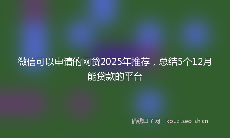微信可以申请的网贷2025年推荐，总结5个12月能贷款的平台