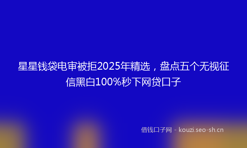 星星钱袋电审被拒2025年精选，盘点五个无视征信黑白100%秒下网贷口子