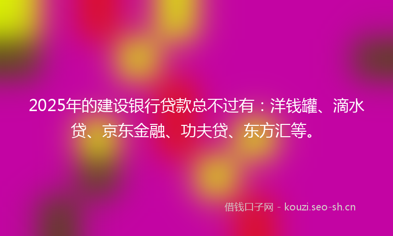 2025年的建设银行贷款总不过有：洋钱罐、滴水贷、京东金融、功夫贷、东方汇等。