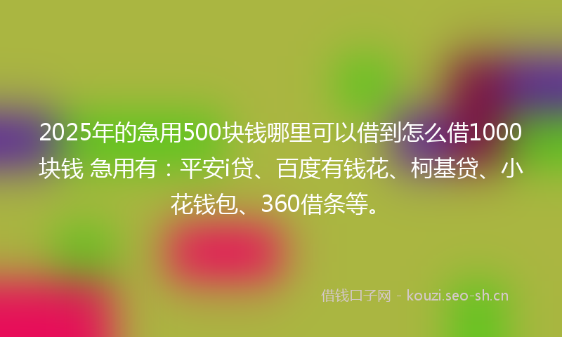 2025年的急用500块钱哪里可以借到怎么借1000块钱 急用有：平安i贷、百度有钱花、柯基贷、小花钱包、360借条等。