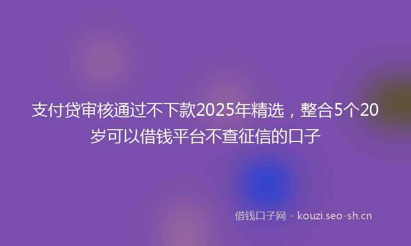 支付贷审核通过不下款2025年精选，整合5个20岁可以借钱平台不查征信的口子