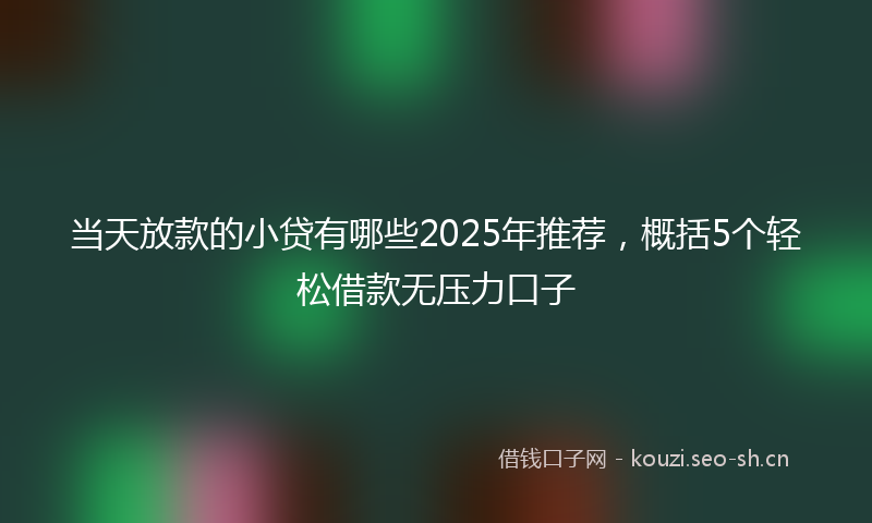 当天放款的小贷有哪些2025年推荐，概括5个轻松借款无压力口子