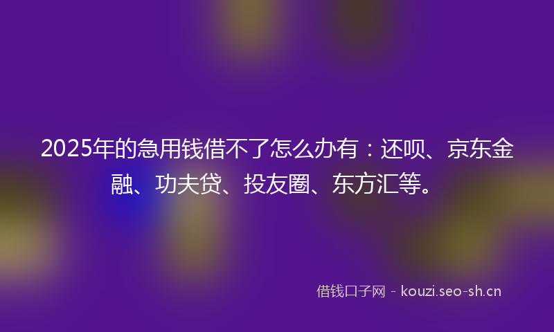 2025年的急用钱借不了怎么办有：还呗、京东金融、功夫贷、投友圈、东方汇等。