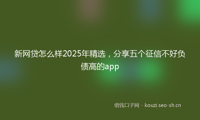 新网贷怎么样2025年精选，分享五个征信不好负债高的app