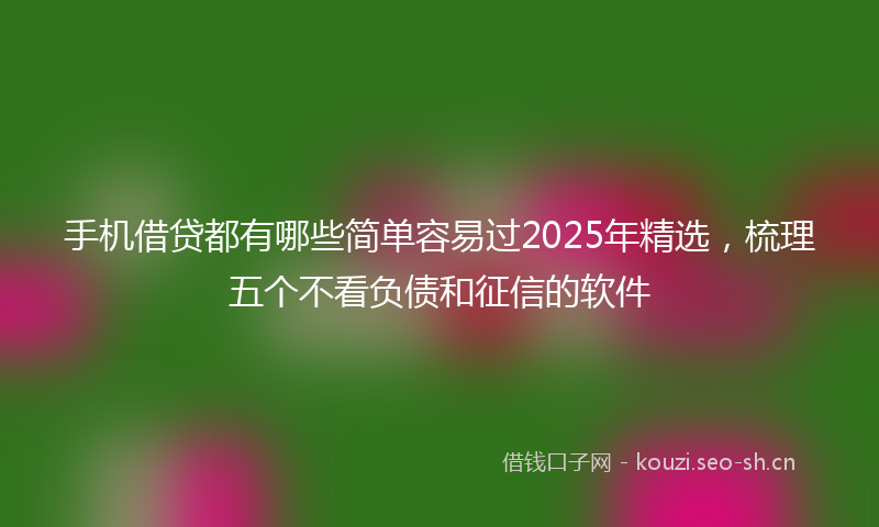 手机借贷都有哪些简单容易过2025年精选，梳理五个不看负债和征信的软件