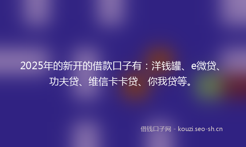 2025年的新开的借款口子有：洋钱罐、e微贷、功夫贷、维信卡卡贷、你我贷等。