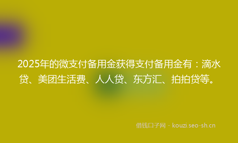 2025年的微支付备用金获得支付备用金有:滴水贷、美团生活费、人人贷、东方汇、拍拍贷等。