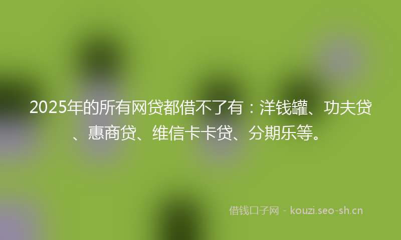 2025年的所有网贷都借不了有：洋钱罐、功夫贷、惠商贷、维信卡卡贷、分期乐等。