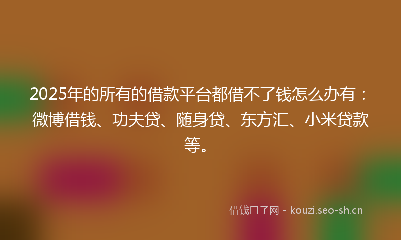 2025年的所有的借款平台都借不了钱怎么办有：微博借钱、功夫贷、随身贷、东方汇、小米贷款等。