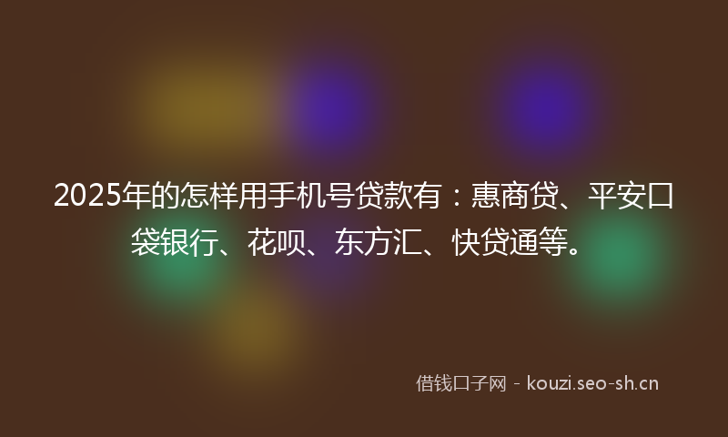 2025年的怎样用手机号贷款有：惠商贷、平安口袋银行、花呗、东方汇、快贷通等。