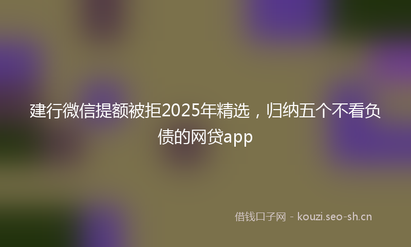 建行微信提额被拒2025年精选，归纳五个不看负债的网贷app