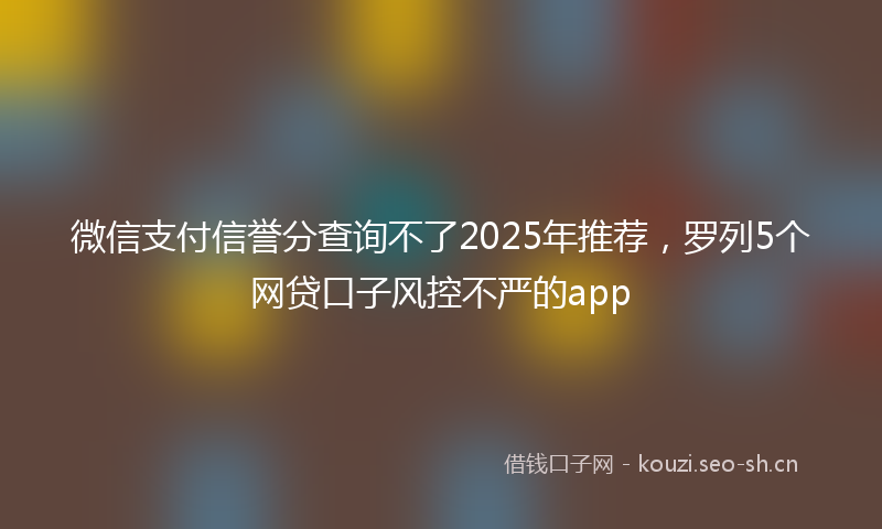 微信支付信誉分查询不了2025年推荐，罗列5个网贷口子风控不严的app