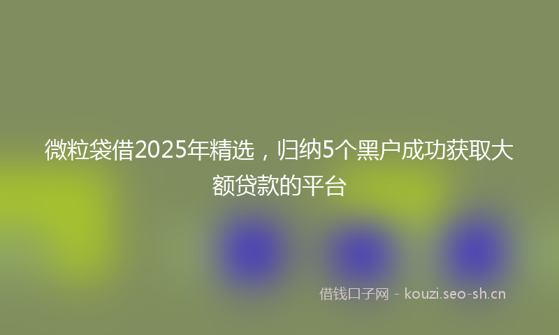 微粒袋借2025年精选，归纳5个黑户成功获取大额贷款的平台