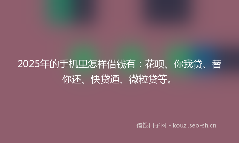 2025年的手机里怎样借钱有：花呗、你我贷、替你还、快贷通、微粒贷等。