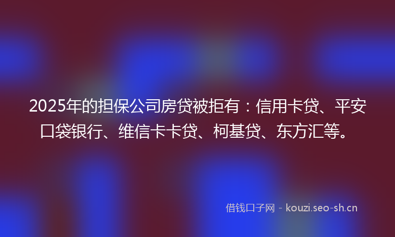 2025年的担保公司房贷被拒有：信用卡贷、平安口袋银行、维信卡卡贷、柯基贷、东方汇等。