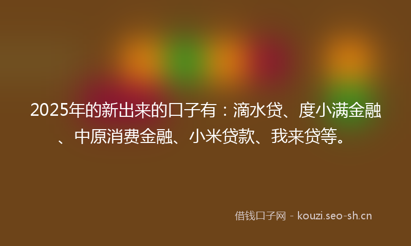 2025年的新出来的口子有:滴水贷、度小满金融、中原消费金融、小米贷款、我来贷等。