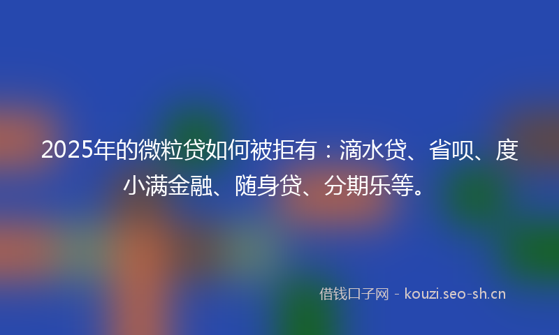 2025年的微粒贷如何被拒有：滴水贷、省呗、度小满金融、随身贷、分期乐等。