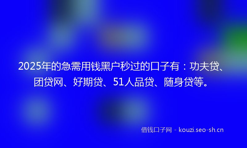 2025年的急需用钱黑户秒过的口子有：功夫贷、团贷网、好期贷、51人品贷、随身贷等。