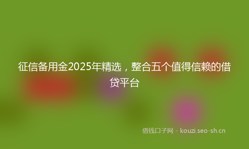 征信备用金2025年精选，整合五个值得信赖的借贷平台