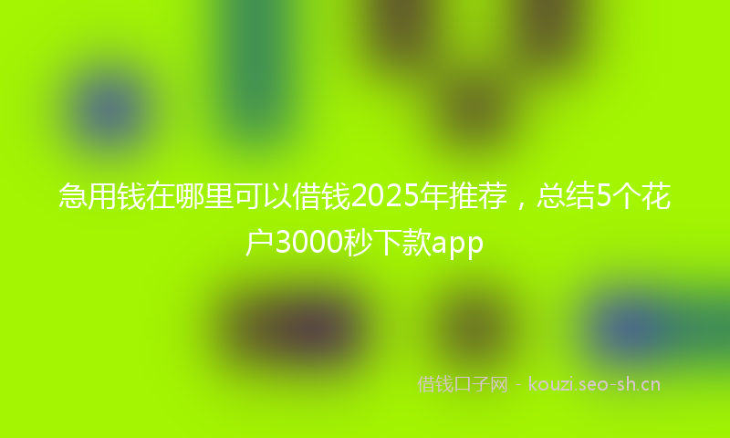 急用钱在哪里可以借钱2025年推荐,总结5个花户3000秒下款app