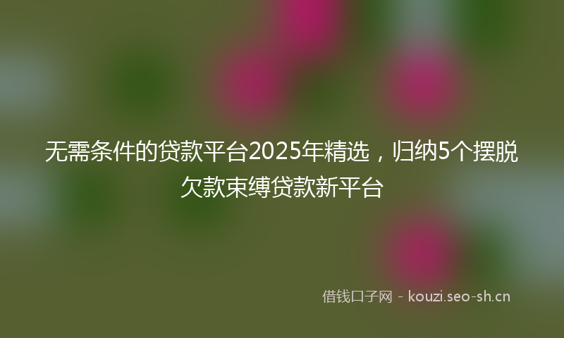 无需条件的贷款平台2025年精选，归纳5个摆脱欠款束缚贷款新平台